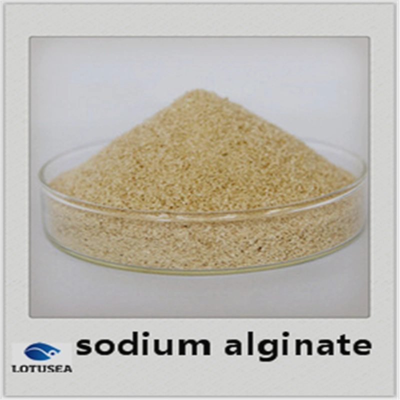 Textile Grade Sodium Alginate 150mesh 2500cps High quality/High cost performance 