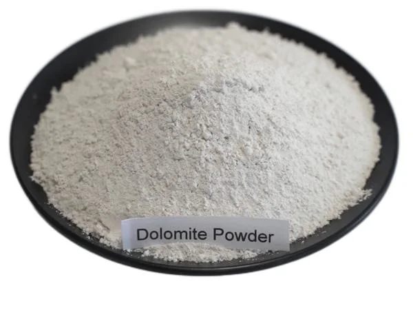 Fabrication&amp;exportateur de la Dolomite poudre pour l'industrie céramique