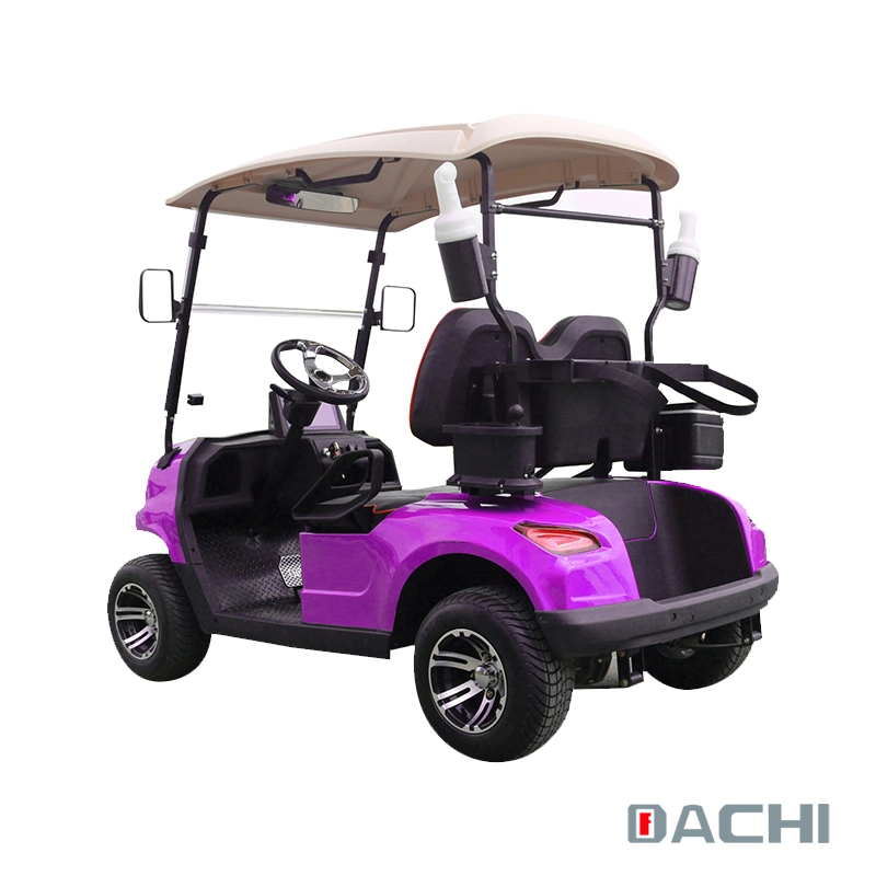 Factory Direct Sales Electric Golf Cart 2 Seats Forge G2 Golf Carts