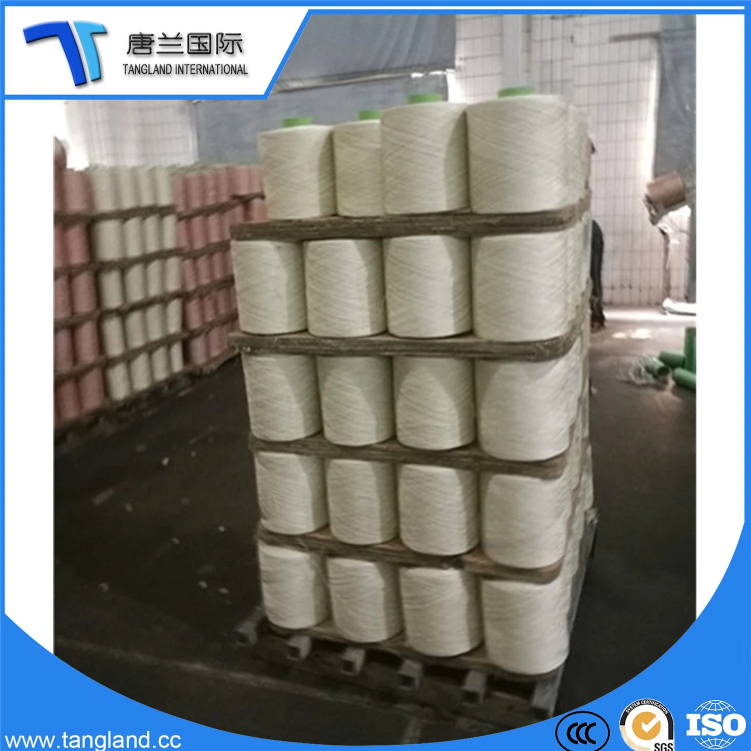 Factory Prices Wholesale/Supplier 100% High Stretch Spun Rayon Nylon 6 Filament Yarn for Fishing Net