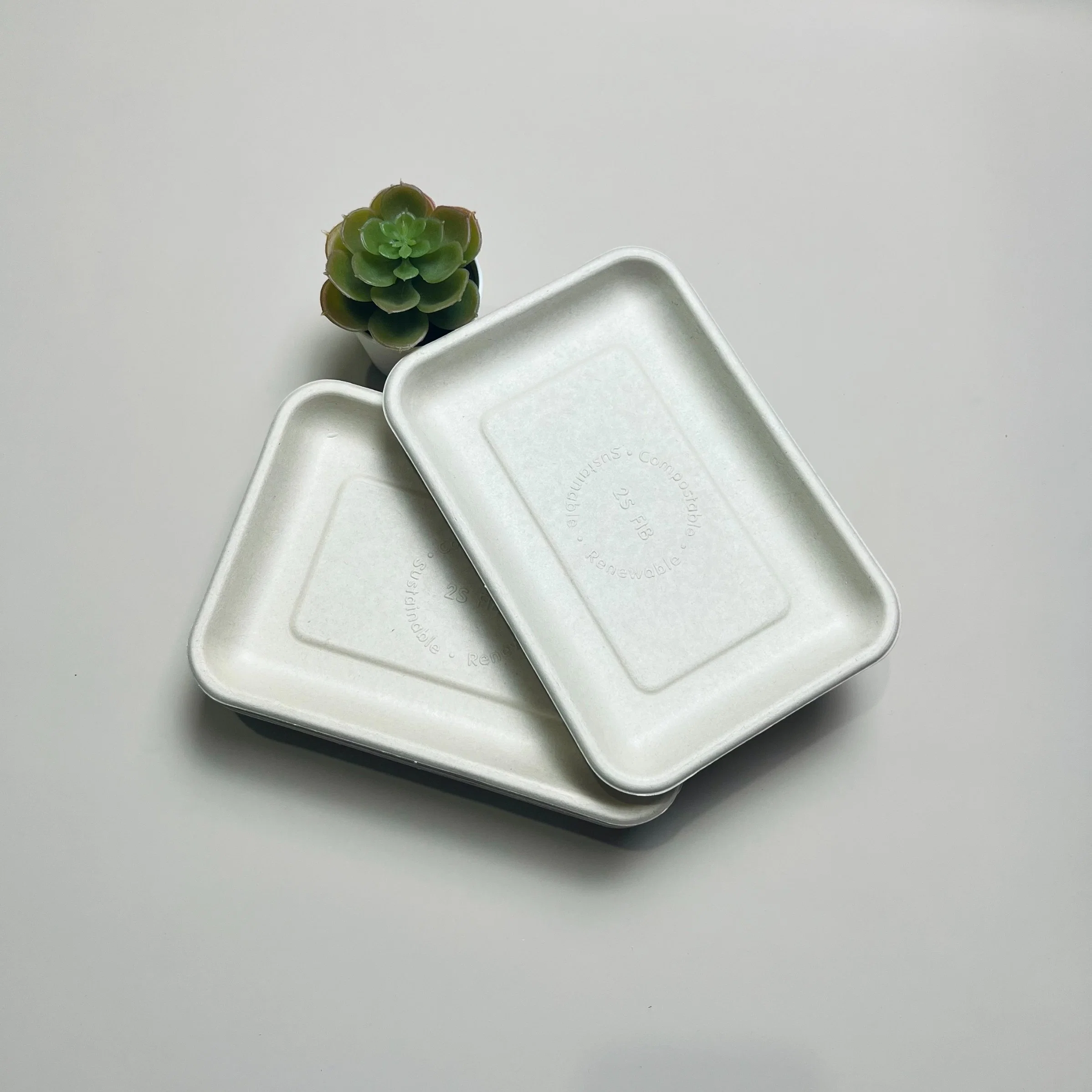 Disposable Rectangular Sugarcane Bagasse 200*140*15mm Supermarket Packaging Tray