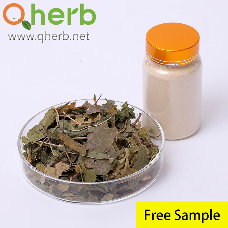 Herb Herbal Extract Natural Ginseng Root Extract Powder Immune-Enhancing in Functional Food