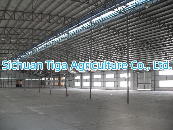 Light Weight Steel Structure with Convenient Construction Made in China