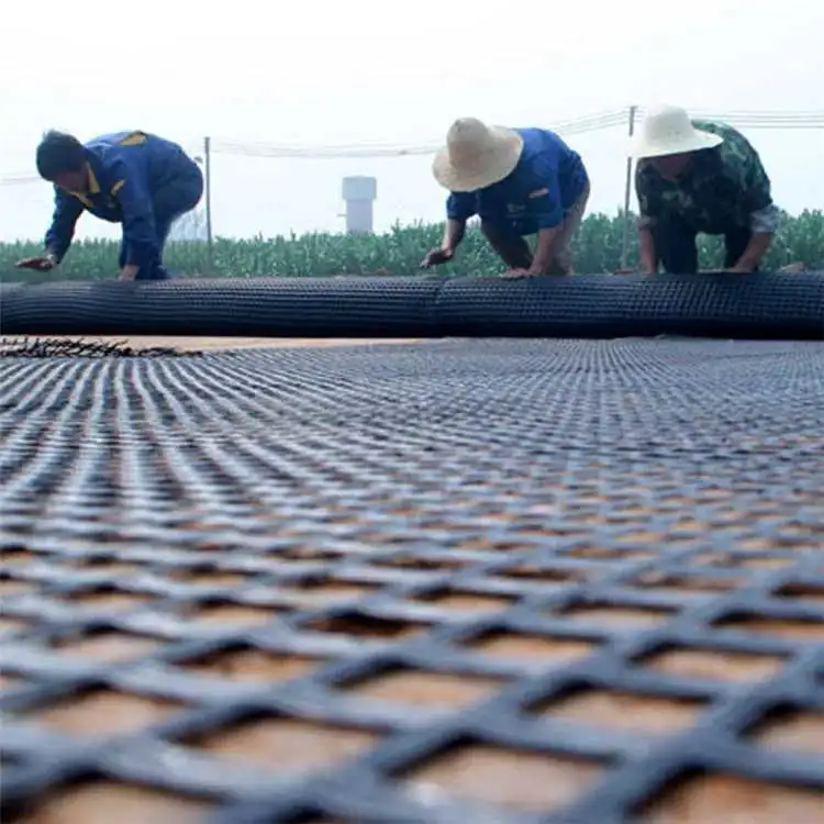 Chuangwan Rendimiento de alta calidad/alto costo Nuevo Marerial Fibreglass Geogrid Fabricante