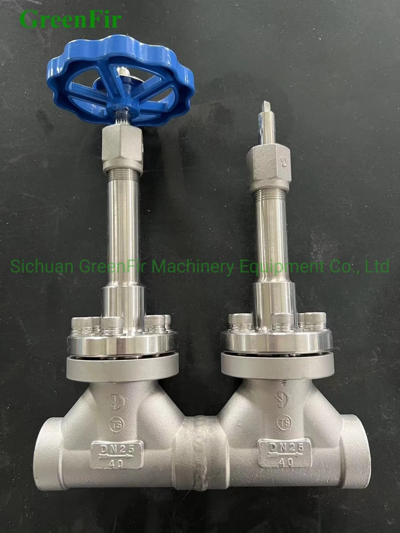 Stainless Steel Globe Valve Extended Stem with Butt Weld Ends for Liquid Oxygen, Liquid Nitrogen, LNG, etc.