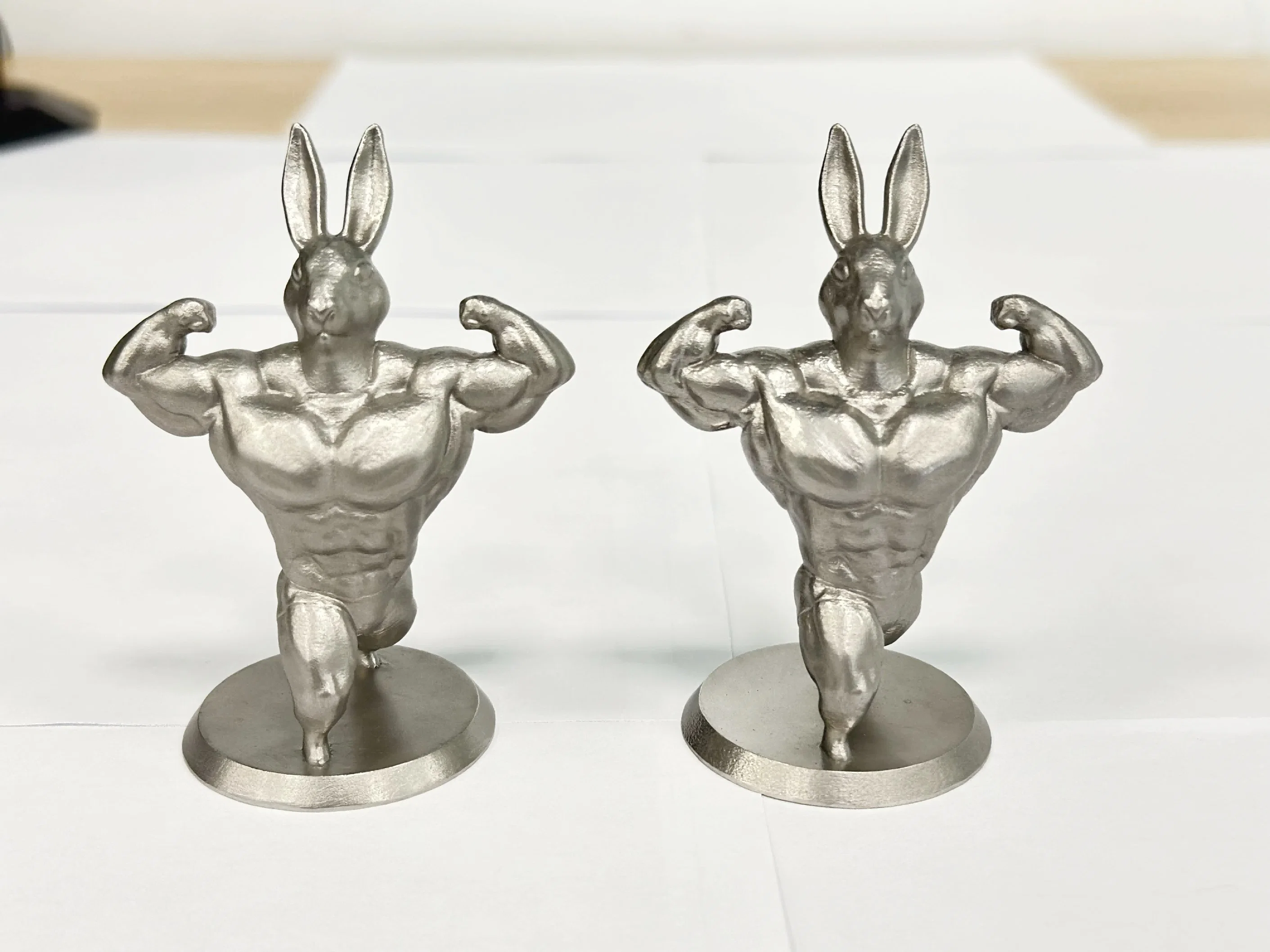 3D Printed Stainless Steel Muscle Rabbit