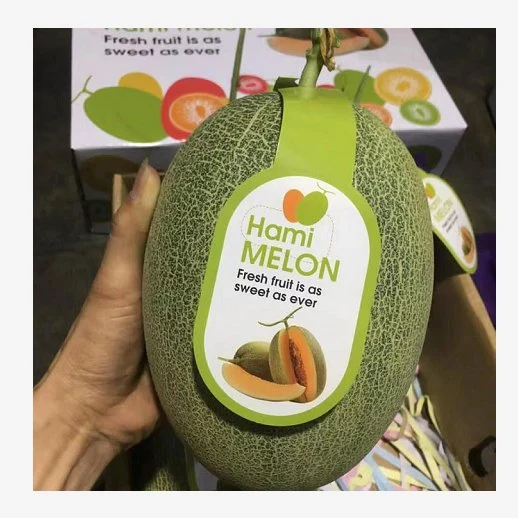 Vente chaude de melon de Hami - Cantaloup Hamigua