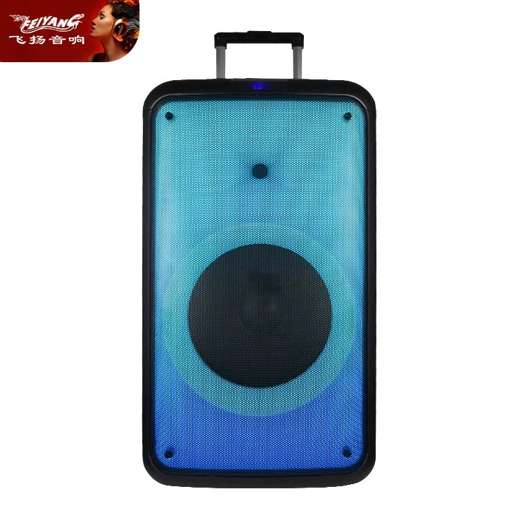 Trolley Speaker Prix abordable 50W Boîte de son Bluetooth active avec haut-parleur d'audio professionnel Amplificateur de caisson de basse Haut-parleur alimenté