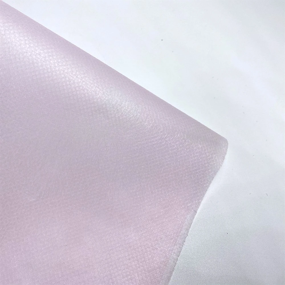 OEM Anti-Bacterial Customized Weight Interlining Home Textile Nonwoven for Bag PP Non-Woven Fabric