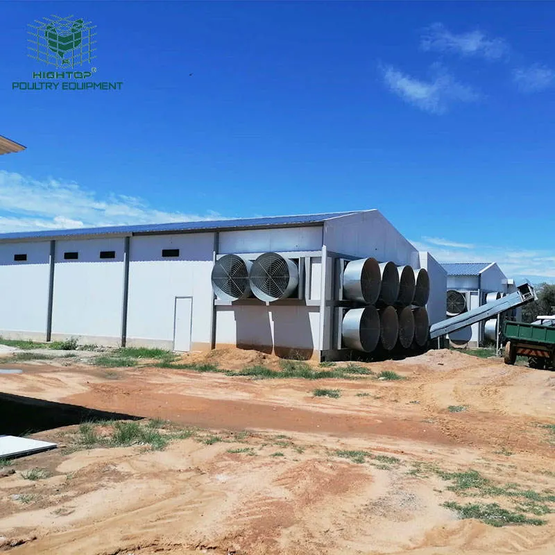 Diseño de panel modular de acero de la luz de la casa de aves de corral con rápido y fácil instalación