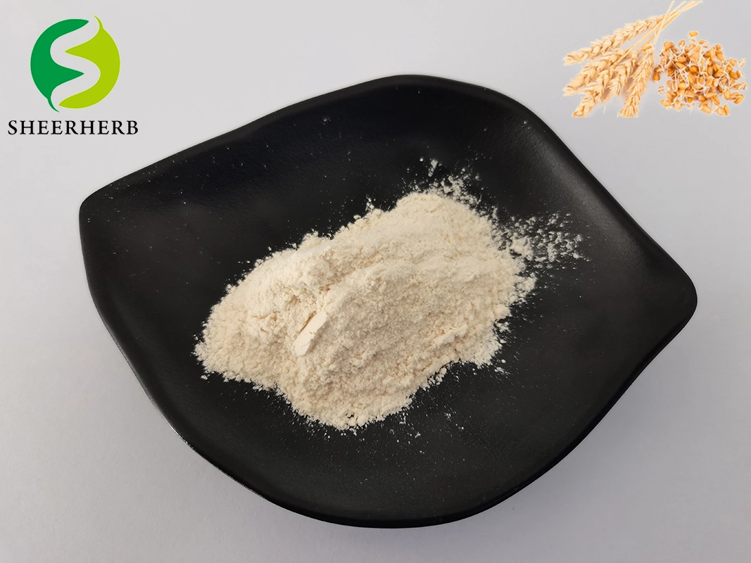 Nature Wheat Germ Extract Powder 0.1-2% Spermidine