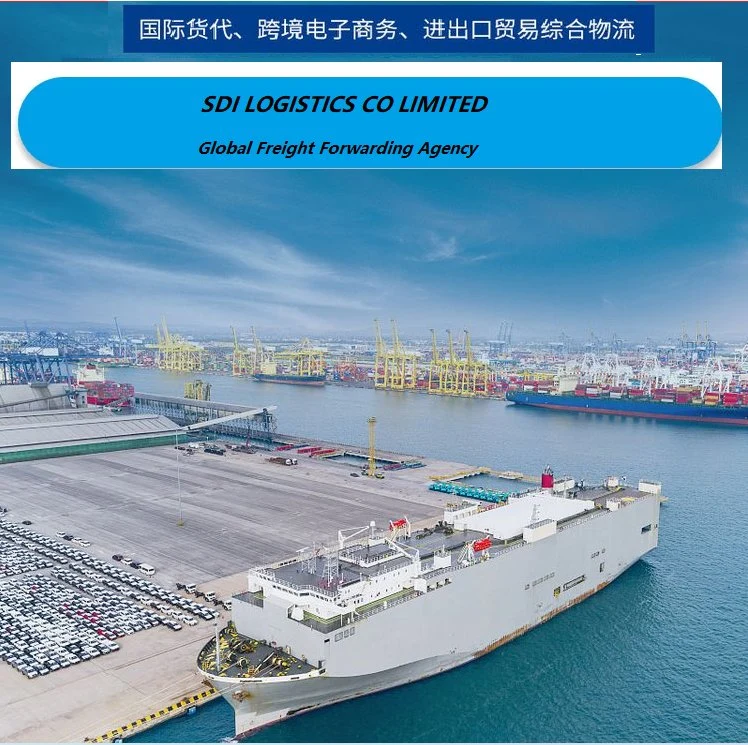 20gp/40hq From Guangzhou to Mogadishu Somali Shipping