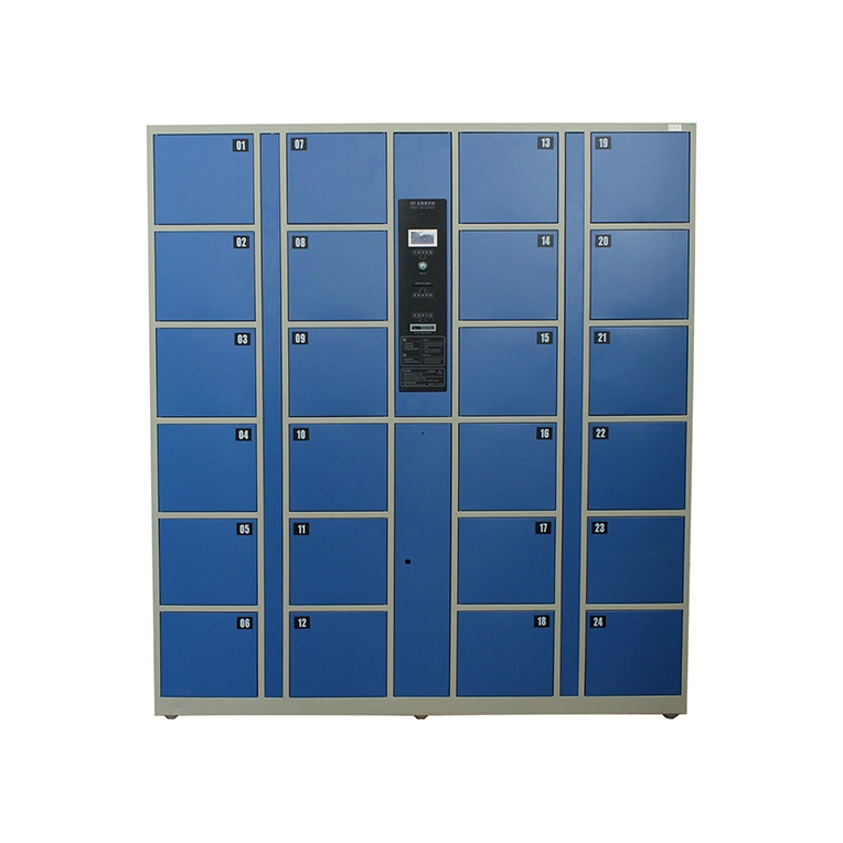 Caja de contrachapado Nuevo DC CE, ISO Face Recognition Electronic Locker