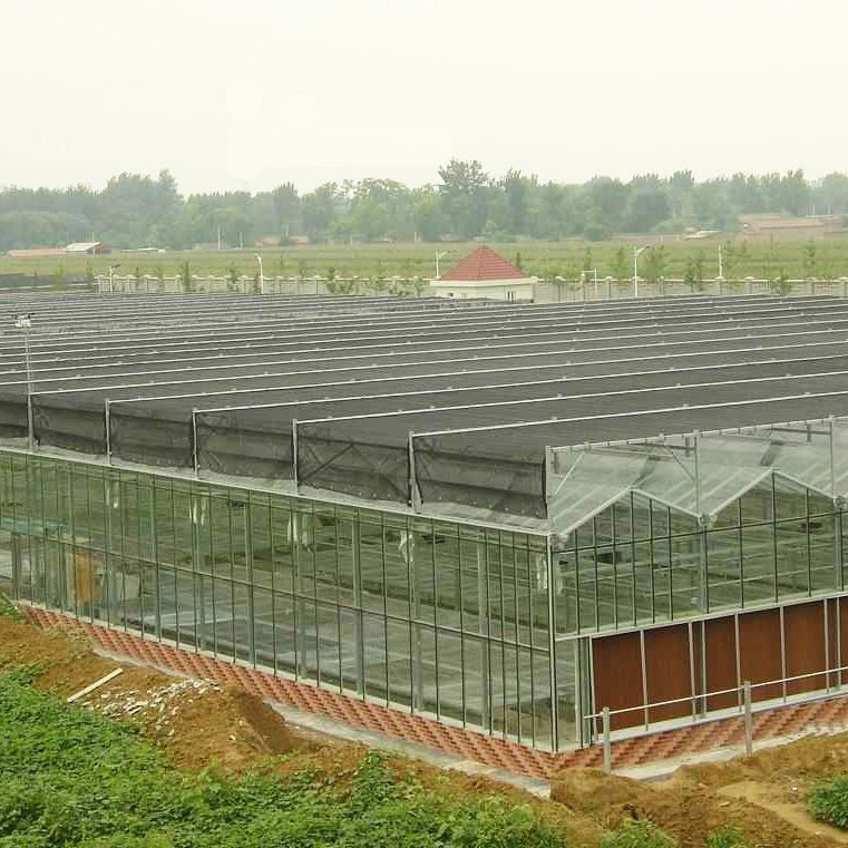 High quality/High cost performance Solar Control Tempered Insulated Glass Single and Multi Cooling Greenhouse Hydroponics System with Accessories