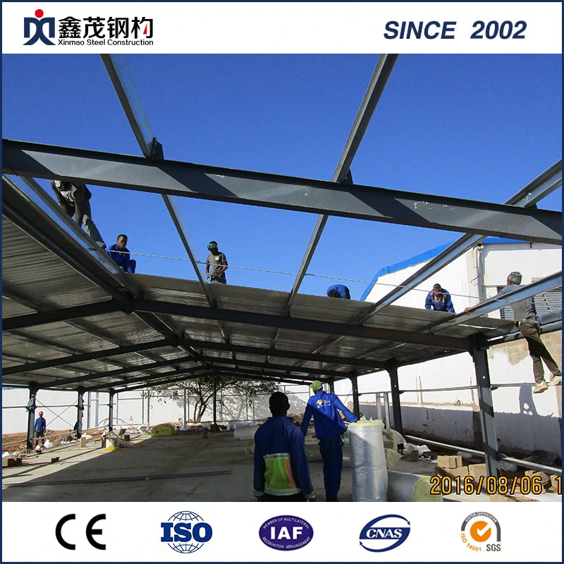 Section Steel Frame Manufacturer for Warehouse or Factory