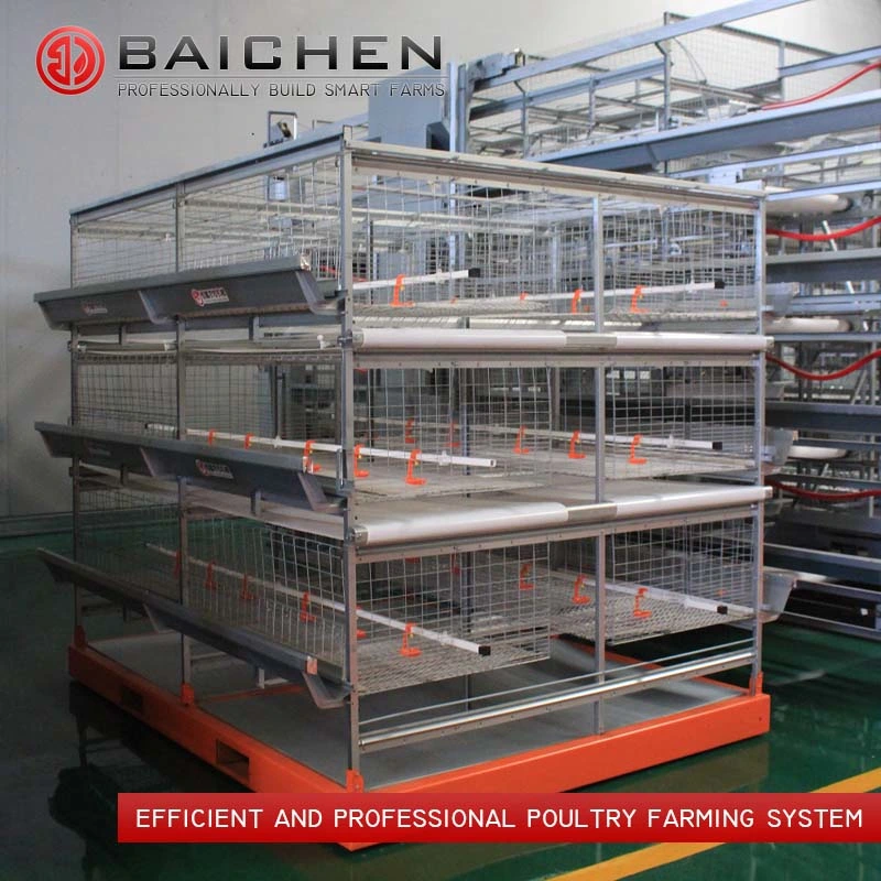 Fully Automated Tunnel Ventilated Broiler Poultry Farm House Multi-Tier Chicken Cages