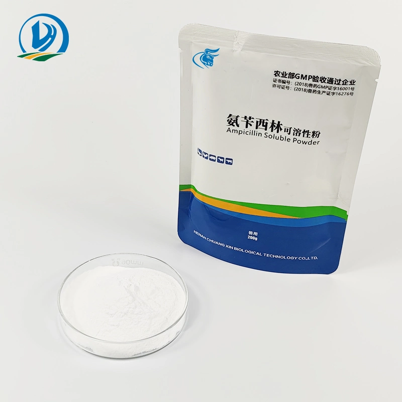 Ampicillin Sodium Soluble Powder with GMP Certificate