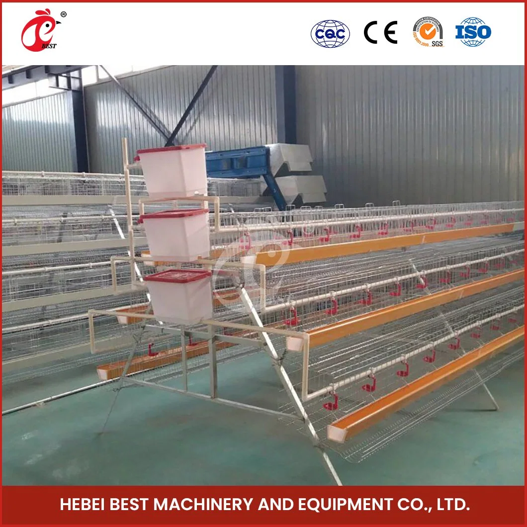 Bestchickencage Ordinary Type Layer Cage China Chicken Layer Cages for Sale Manufacturing Wholesale/Supplier Easy Control Parasitic Diseases Egg Chicken Cage for Sale