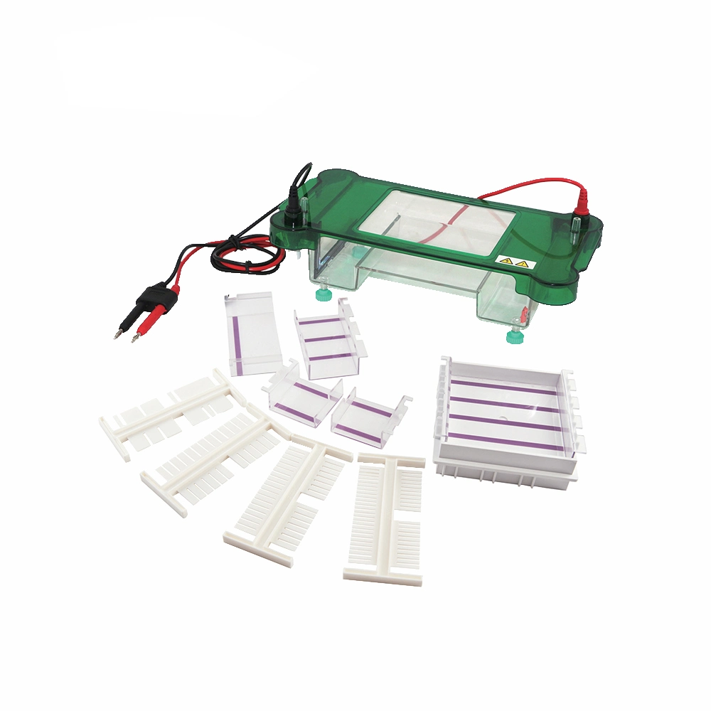 Laboratory Horizontal Vertical Electrophoresis Tanks