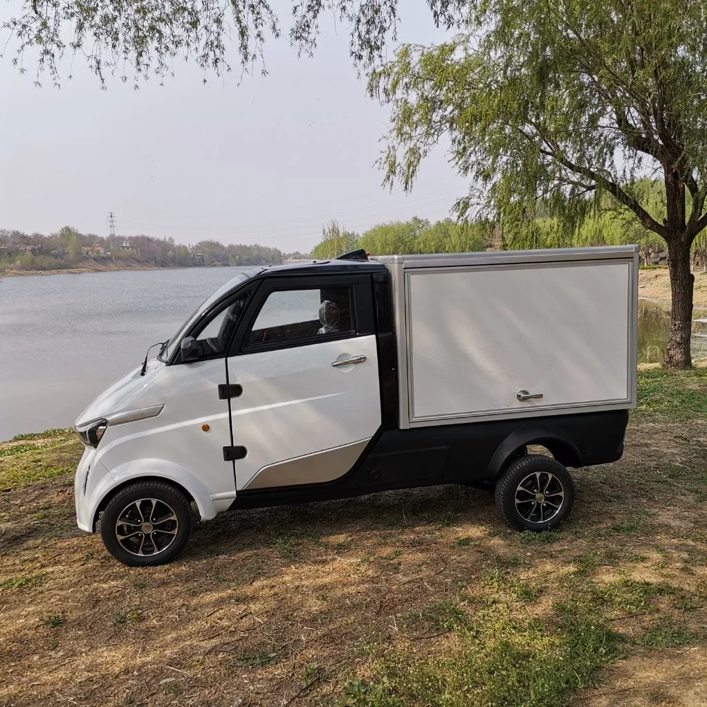 Adulte voiture électrique de la prestation de transport des aliments