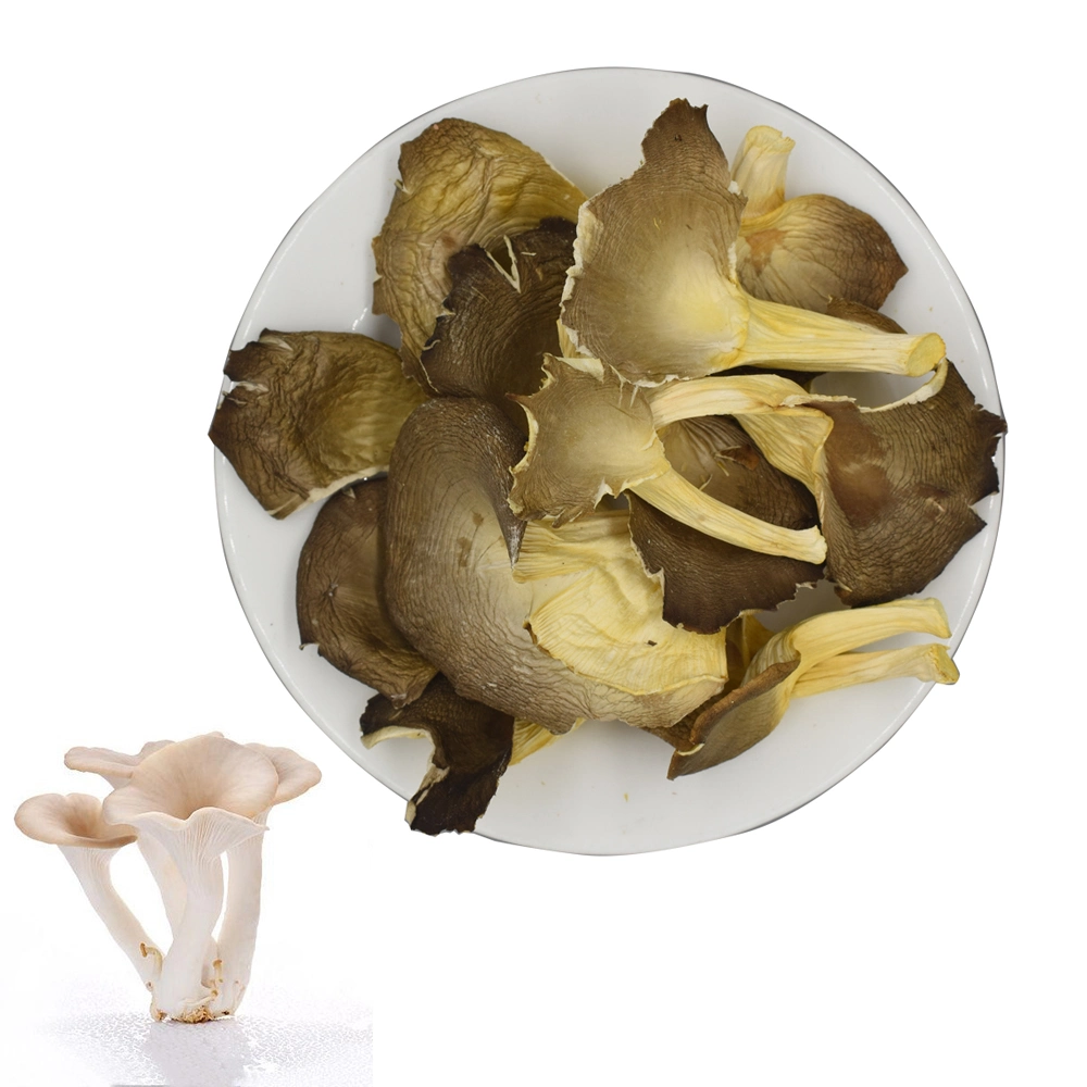 High Protein Whole Pleurotus Geesteranus Dried Oyster Mushroom