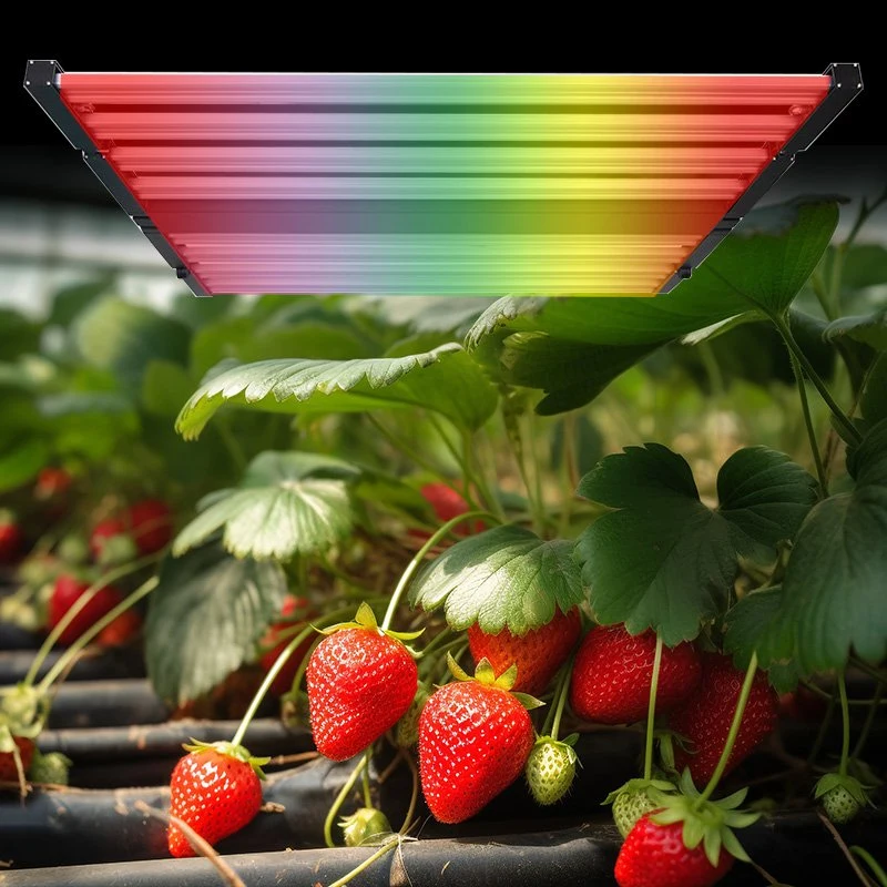 Driverless AC 110V 220V Full Spectrum White High Power LED Chip 20W 30W 50W COB Dob LED Chip for Indoor Plant Grow Light