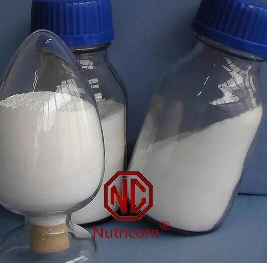 L-lysine HCl/Monohychlorice Grade Fabricant Fournisseur d'alimentation