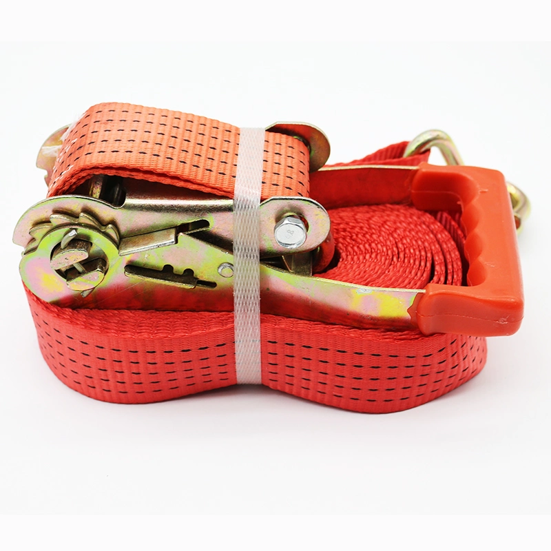 CE Approved Polyester Leo Shrink Packing, Blister Box or Bag Cargo Lashing Belts Ratchet Buckle