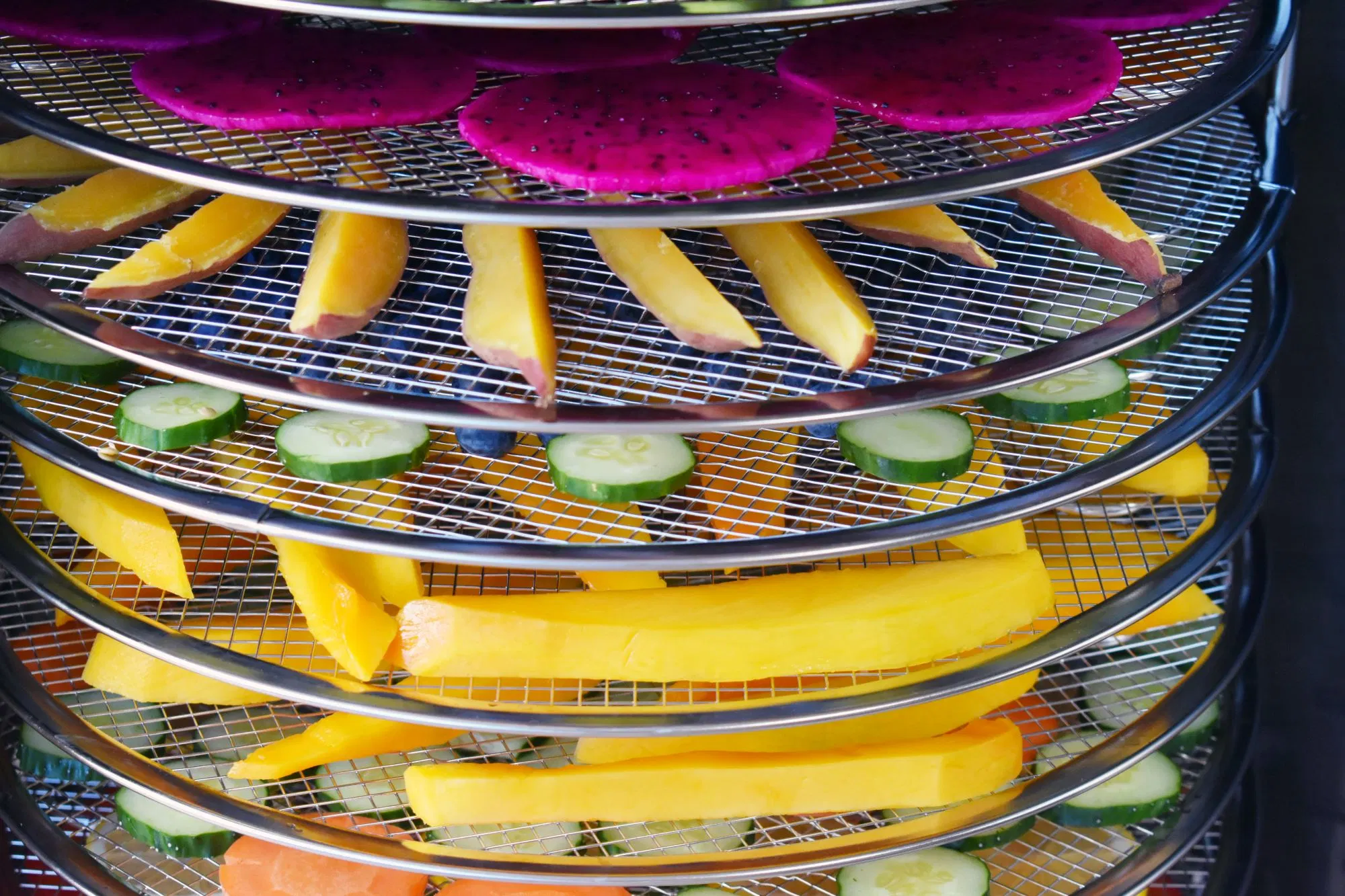 Séchoir alimentaire rotatif automatique complet pour légumes et fruits électrique avec 16 plateaux.