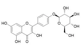 ISO Certified Reference Material 	98%	Kaempferol-4'-Glucoside 52222-74-9 Standard Reagent