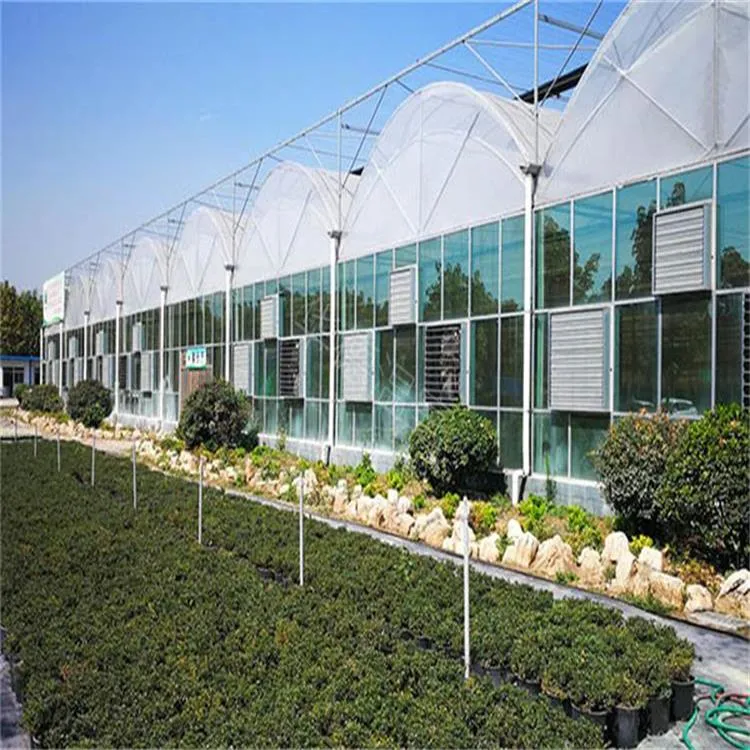 Hot Sale Low Cost Green Houses Agriculture Commercial Polytunnel Plastic Film Greenhouse for Lettuce/Tomato with Hydroponic Growing Systems