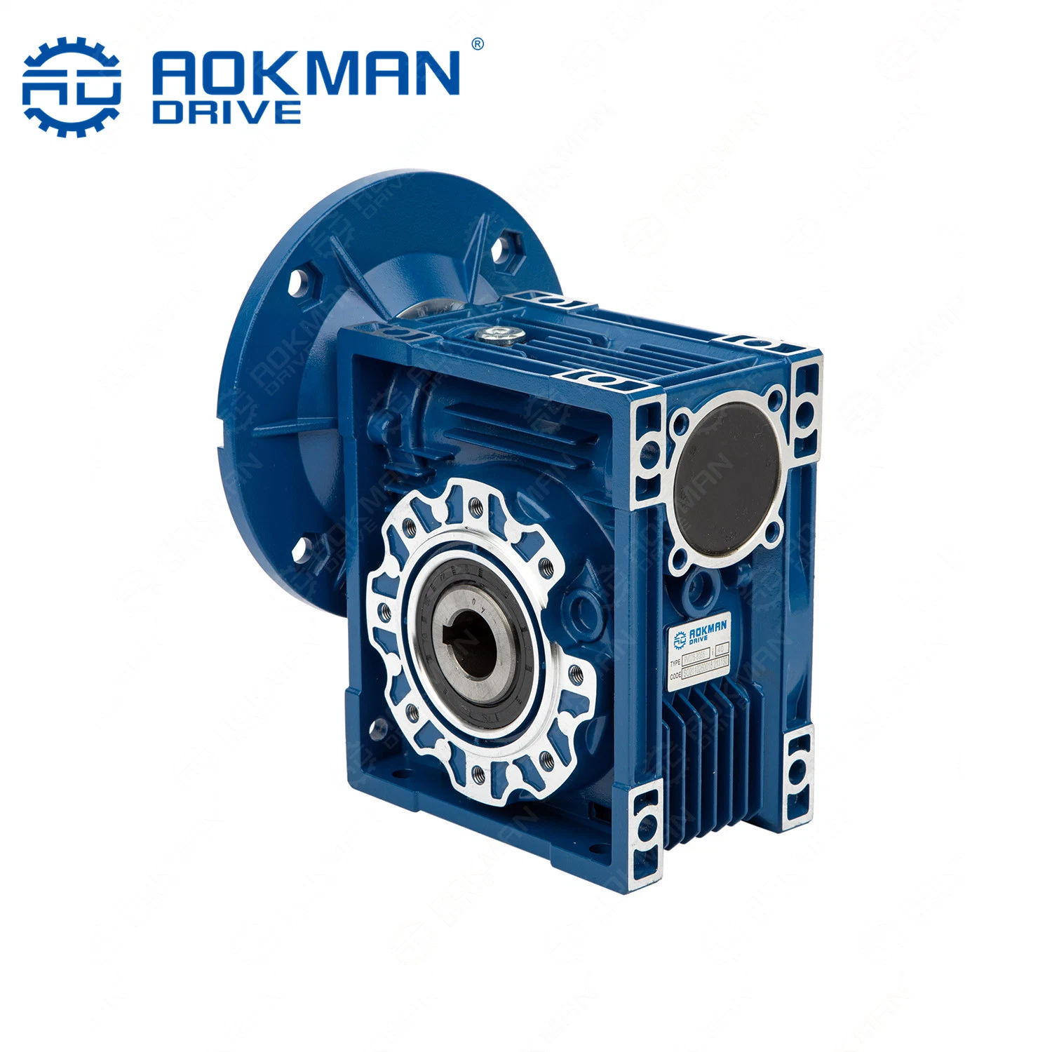 Aokman Nrv Series Worm Small Speed Reducer Gearbox with Extension Shaft
