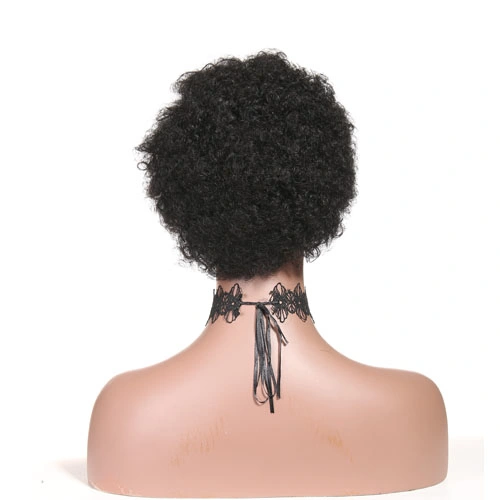 Afro Wigs for Black Women Short Human Hair Wigs