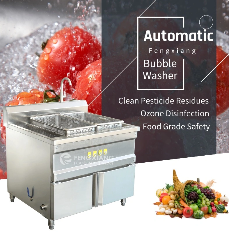 Wasc-10 Vegetable Fruit Bubble Ozone Activated Carbon Ultrasonic Washing Machine Washer