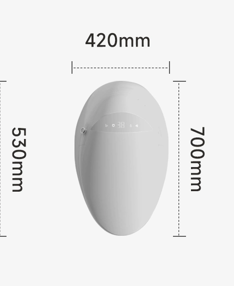 Versteckter Wassertank Europäische Wand Montiert Intelligente Toilette Wash Down Elektrische Bidet