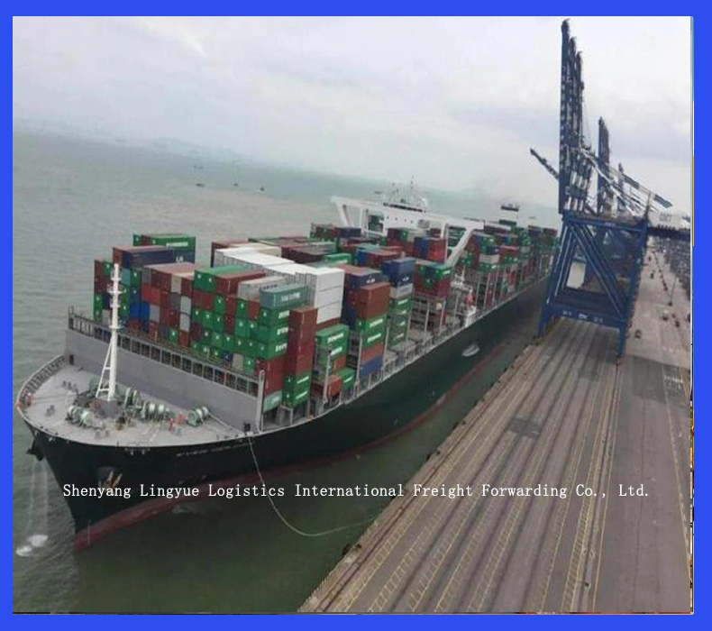 International Air Freight Forwarder Shipping Agent Door to Door Services From China Shenyang to Bahamas Cuba Jamaica Saint Lucia