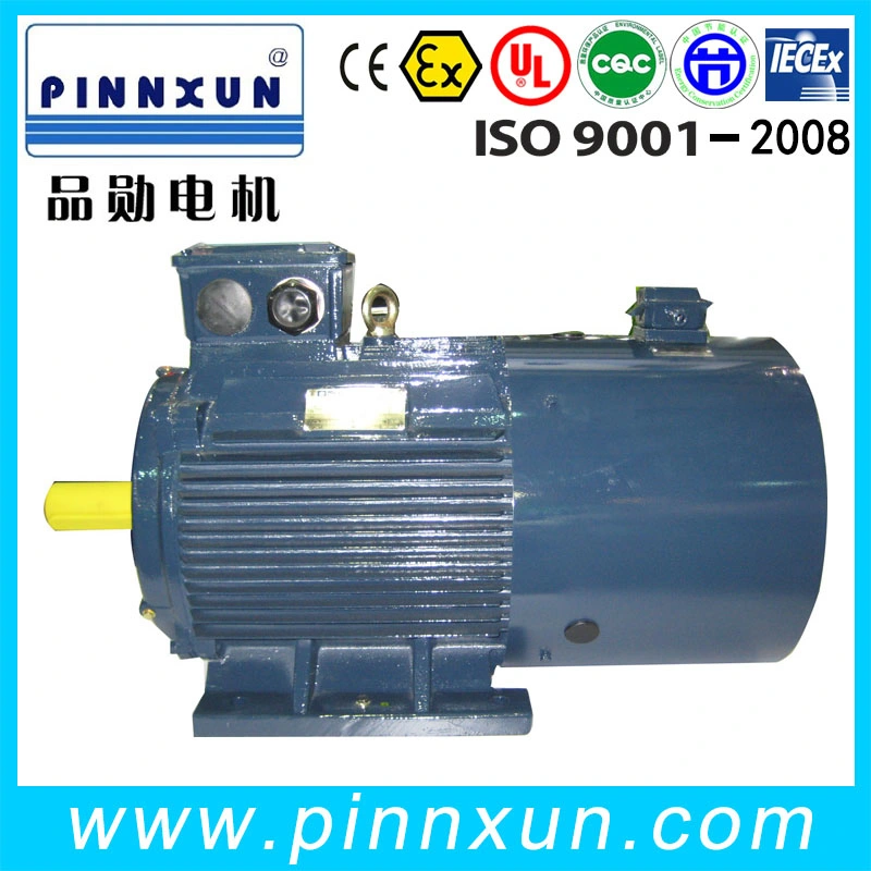 Variable Frequency Speed Regulation AC Motor 160kw