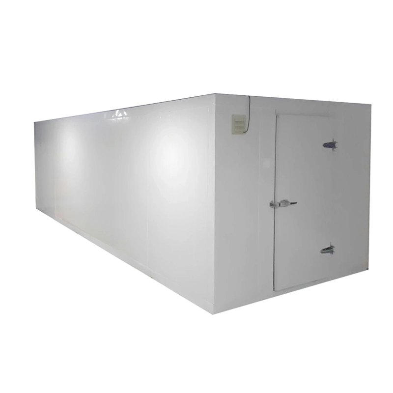 Freezer Cool vegetais frescos frutos do mar de carne Supermercado Alimentar Grande Carga Sala Fria o equipamento de armazenamento