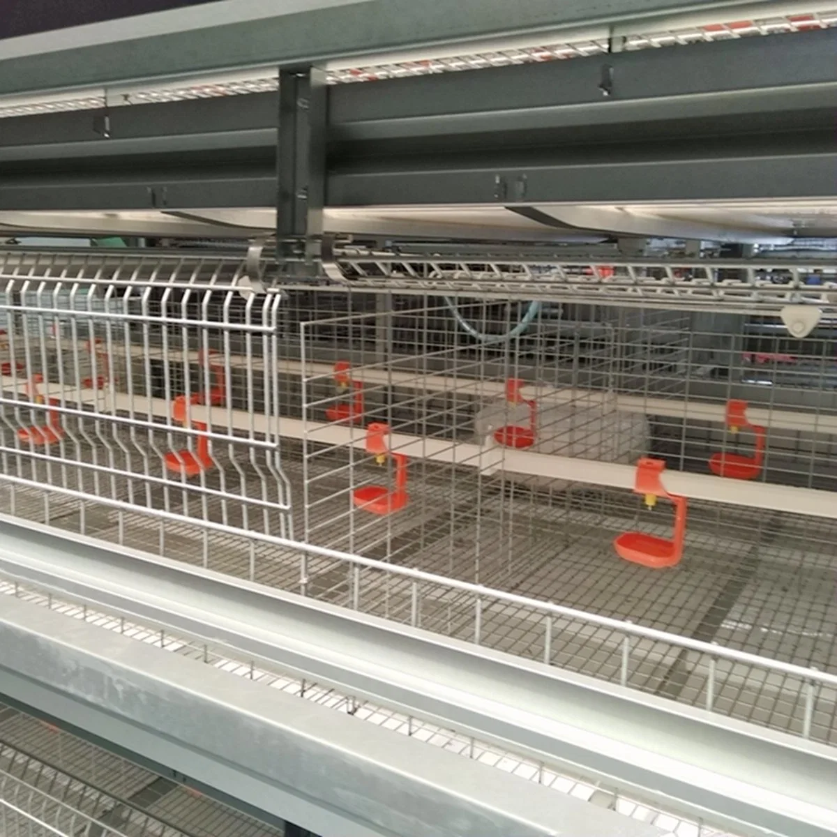 H-Type Baby Layer Chicken Pullet Cage for Philippines Poultry Farm