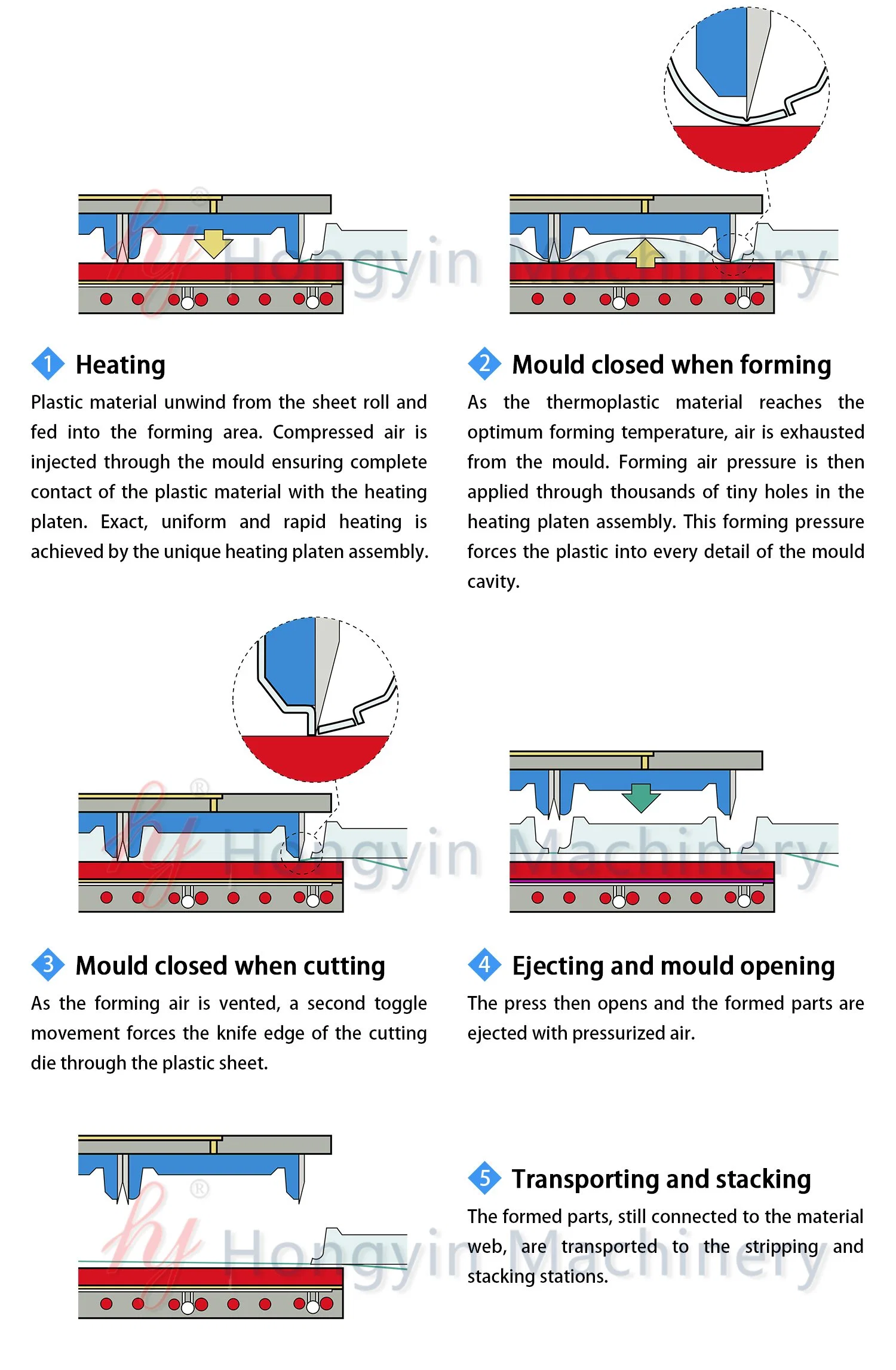 Full-Automatic Plastic Disposable Packaging Hot Thermoforming Machines & Stacking Machine