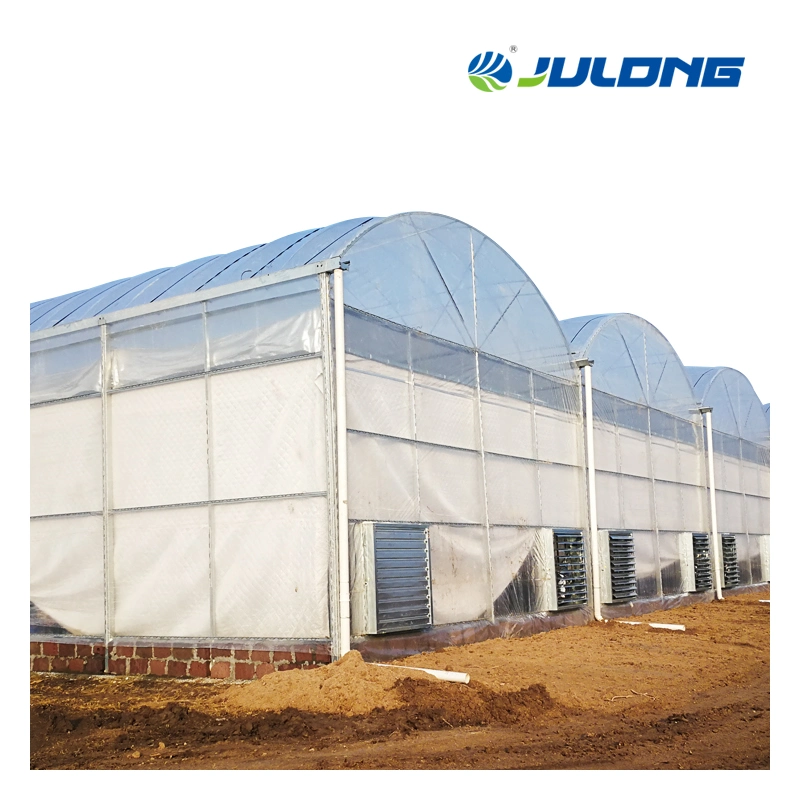 Nft Channel System and Dutch Bucket Planting Plastic Film Greenhouse for Vegetable Flower Nursery Seedling