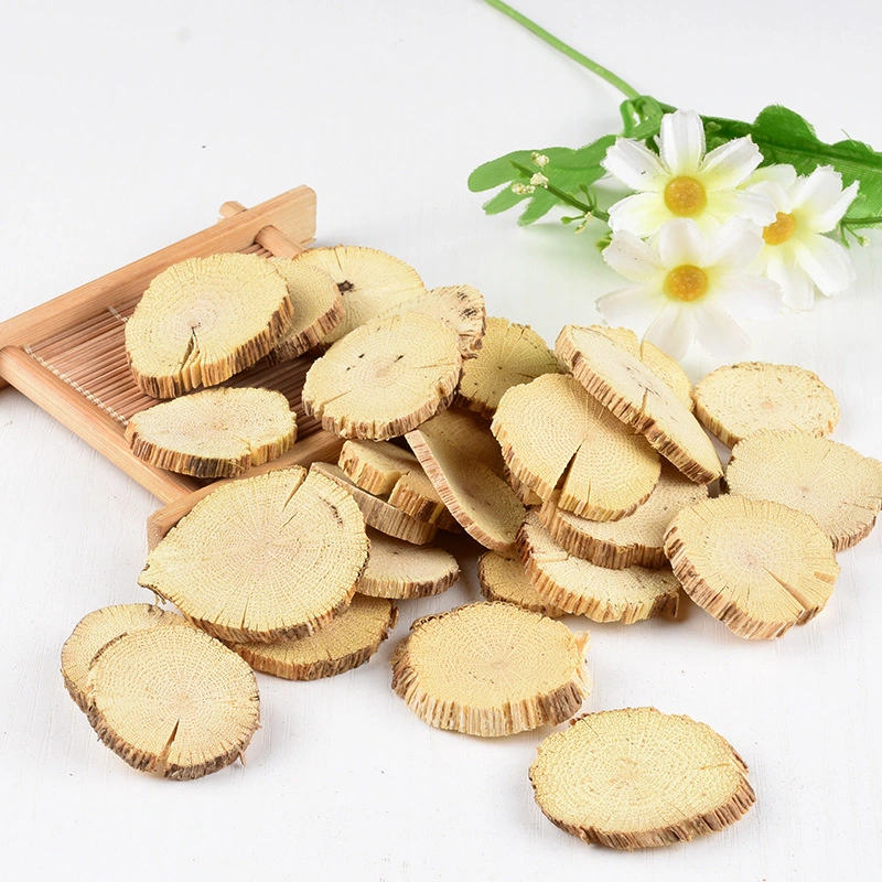 Mu Tong Wholesale High Quality Natural Herbal Medicine Akebia Quinata for Health