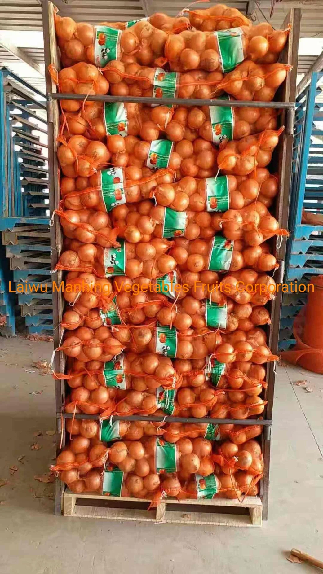 2023 New Crop Chinese Red Onion Amarelo Onion