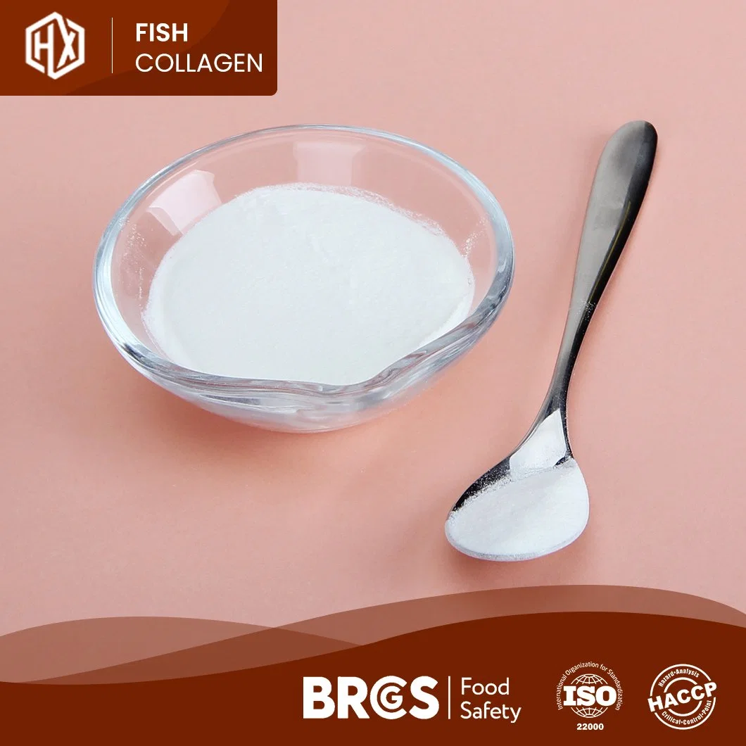 Haoxiang Fish Collagen Pure Hydrolyzed Deep Sea Fish Scale Collagen Powder Enzymatic Hydrolysis Technology Process Hydrolyzed Fish Collagen Powder Manufacturer