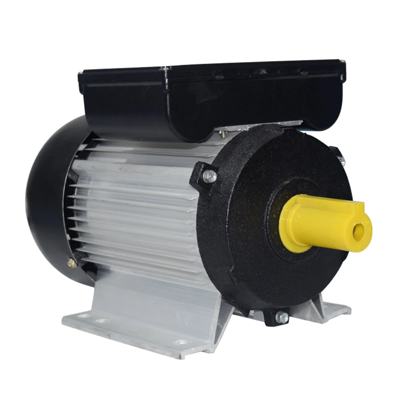 Single-Phase Asynchronous Electric Motor Yc/Yl Series Motor