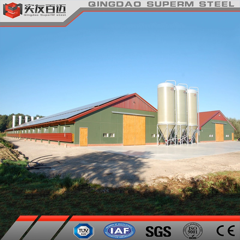 High Strength Light Steel Structure Building Poultry Chicken Broiler Farm House