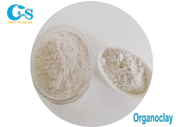 Organo Modification Impart to Clays