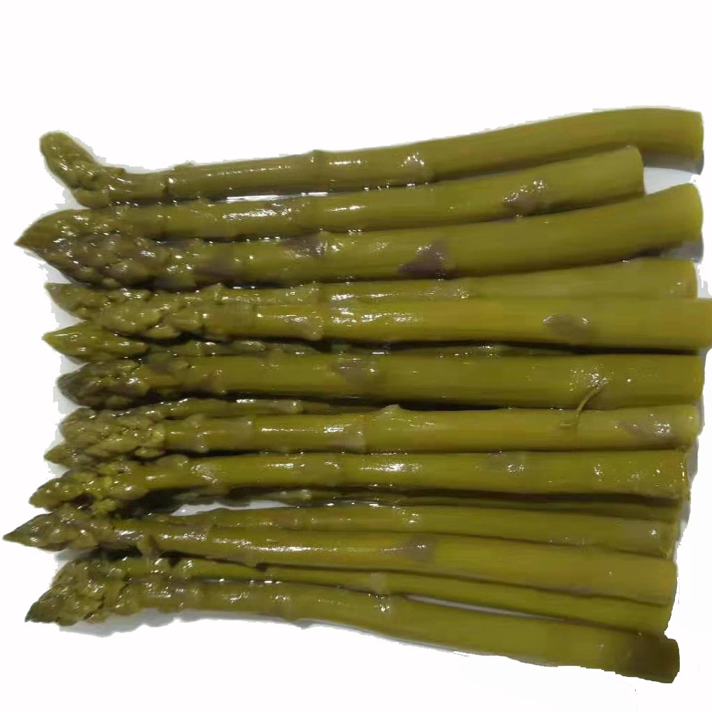 Top Grade Canned Asparagus Canned Food Green Asparagus in Glass Bottle/ Tin/ Jar/ Can