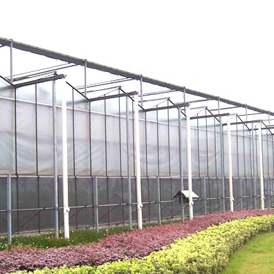 2023 High Performance Venlo PC Green House for Hydroponics Vegetables/Fruits