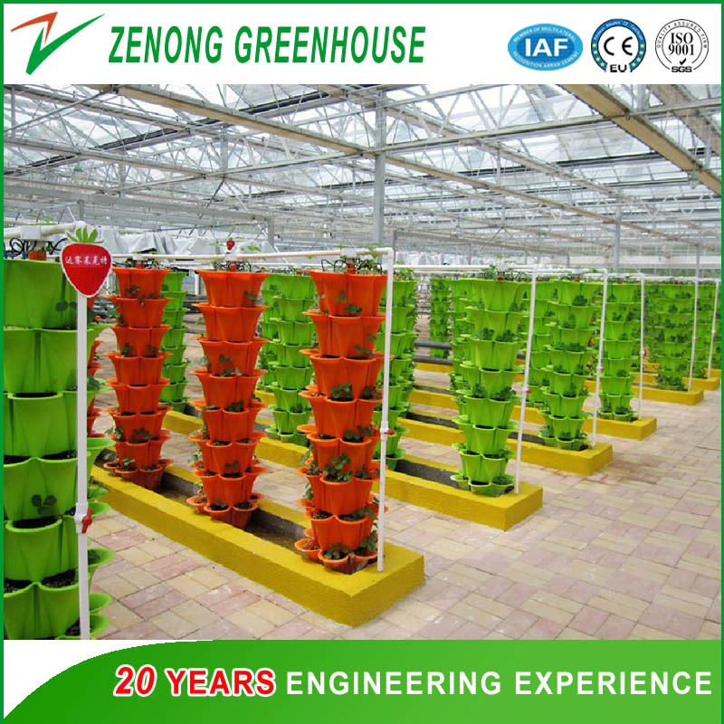 Soil-Less/Hydroponics/Coir Peat/Rock Wool/Substrate Cultivation Greenhouse